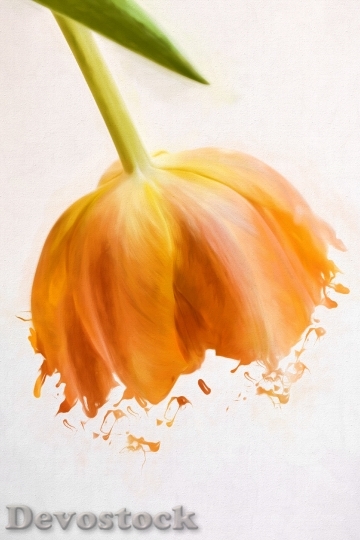 Devostock Image Painting Painted Tulip