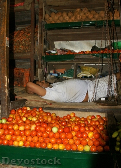 Devostock India Mumbai Vegetable Market