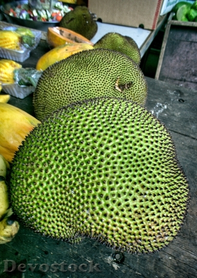 Devostock Jacquier Jackfruit