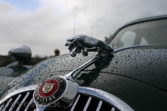 Devostock Jaguar Car Vintage Classic