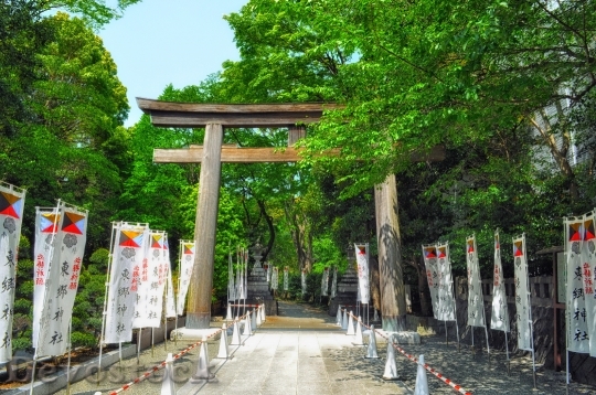 Devostock Japan Torii Traditional Gate