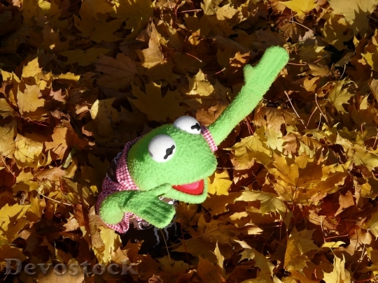 Devostock Kermit Green Frog Doll