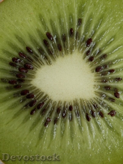 Devostock Kiwi Fruit Cores Green