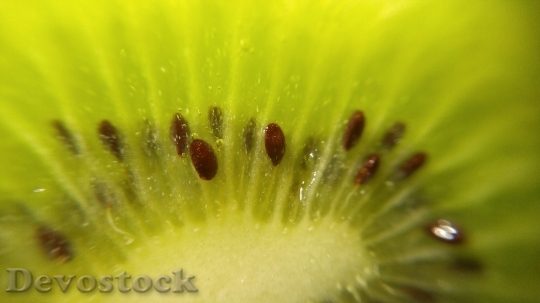 Devostock Kiwi Fruit Green Healthy 3