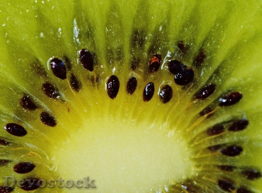 Devostock Kiwi Fruit Healthy Vitamins 1