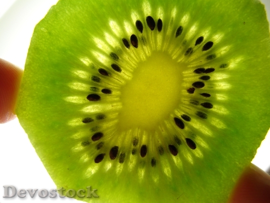 Devostock Kiwi Macro Fruit 1282328