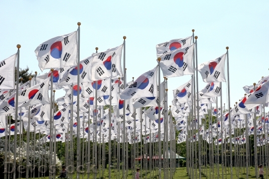 Devostock Korean Flags Flags Field