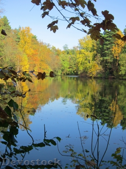 Devostock Lake Autumn Mirroring Leaves