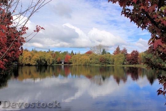 Devostock Lake Fall Nature Autumn