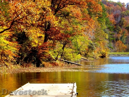 Devostock Lake Fall Trees Leaves