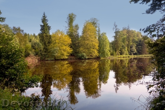 Devostock Lake Forest Sky Mirror