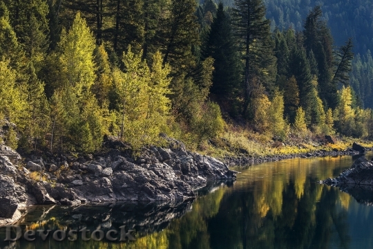 Devostock Landscape Scenic Flathead River