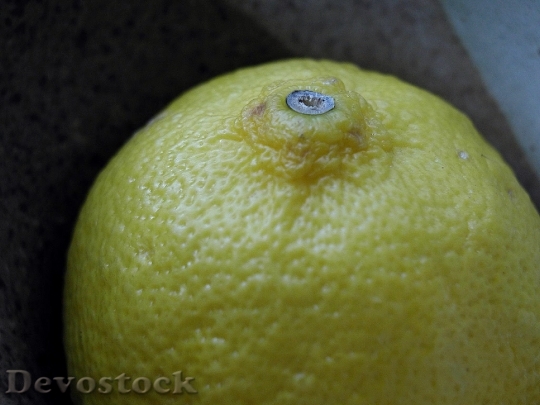 Devostock Lemon Top