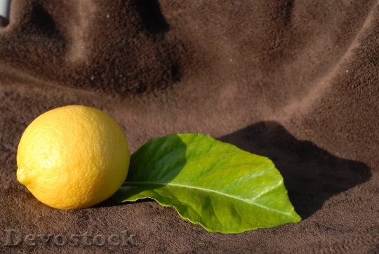 Devostock Lemon Yellow Citrus Fruit 0