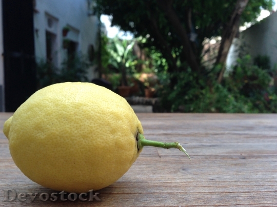 Devostock Lemon Yellow Fruit Still