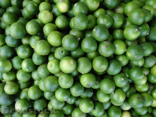 Devostock Lime Fresh Green Food