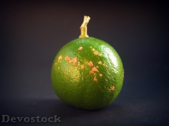 Devostock Lime Lemon Slice Green 5