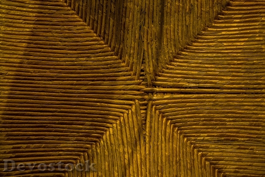 Devostock Macro Texture Wood Child