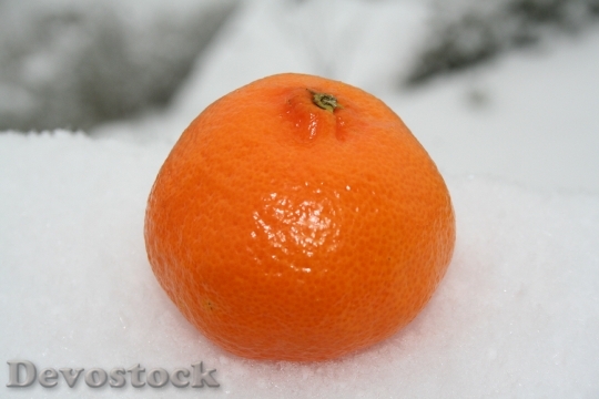 Devostock Mandarin Orange Fruit 384842