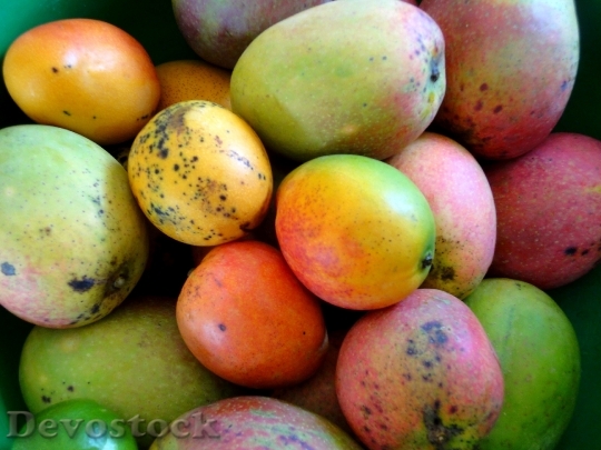 Devostock Mango Fruit Healthy Frisch