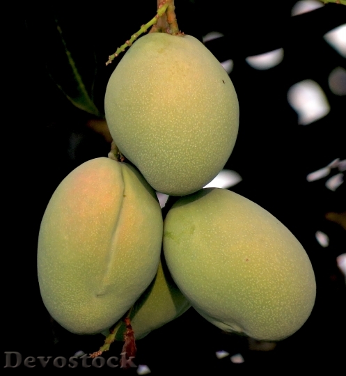 Devostock Mango Fruit Natural Fresh