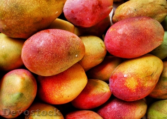 Devostock Mango Mangue