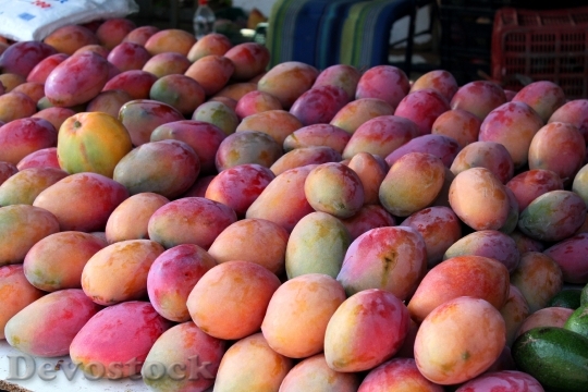 Devostock Mangoes Spain Andalusia Market