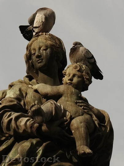Devostock Maria Jesus Statue Pigeons