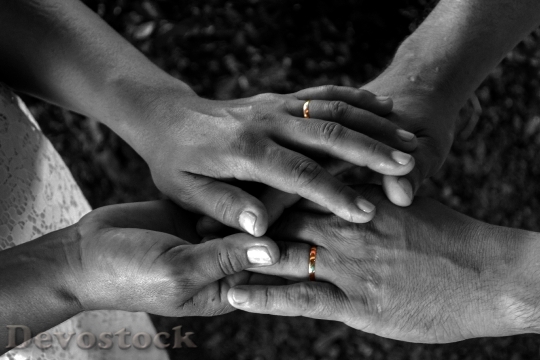Devostock Marriage Alliance Love Hands