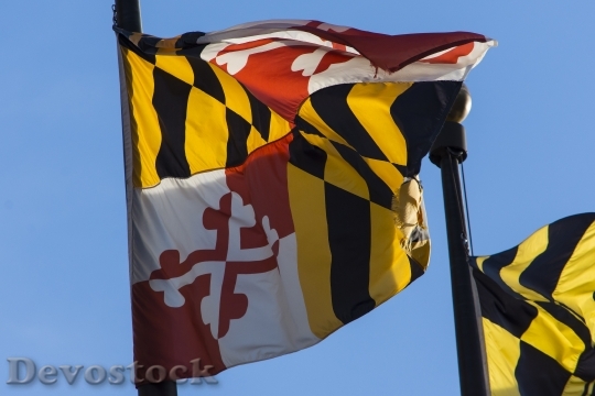 Devostock Maryland Flag Pole Urban