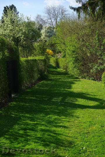 Devostock Meadow Away Hedge Path