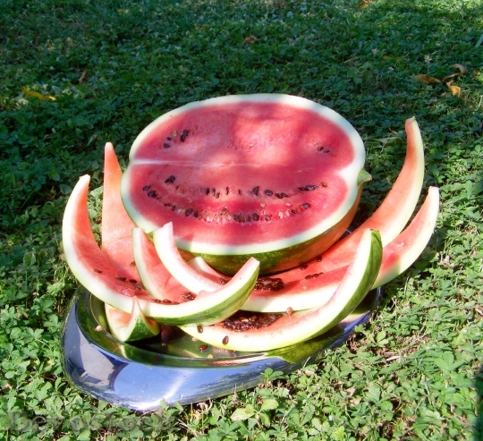 Devostock Melon Watermelon Fruit 871734