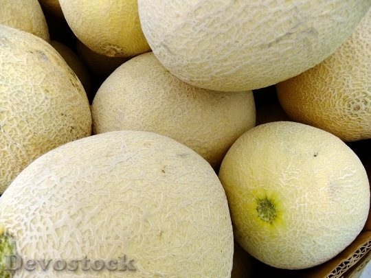 Devostock Melons Honeydew Fruit Melon