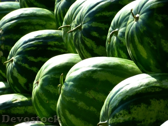 Devostock Melons Water Melons Fruit 0