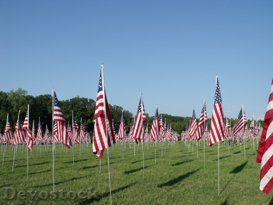 Devostock Memorial Flags Patriotism 911234