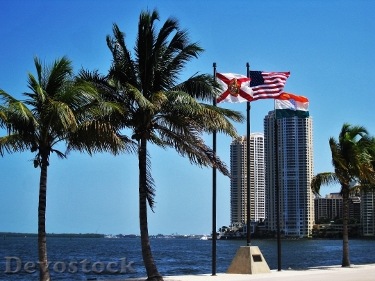 Devostock Miami Florida Flags Usa