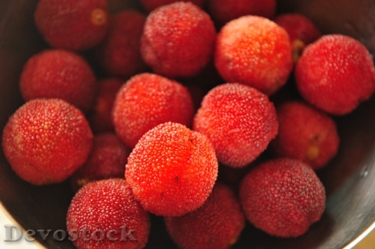 Devostock Myrica Rubra Red Fruit