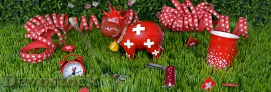 Devostock National Day Switzerland Celebrate