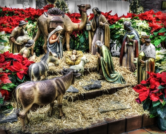 Devostock Nativity Manger Christmas Jesus