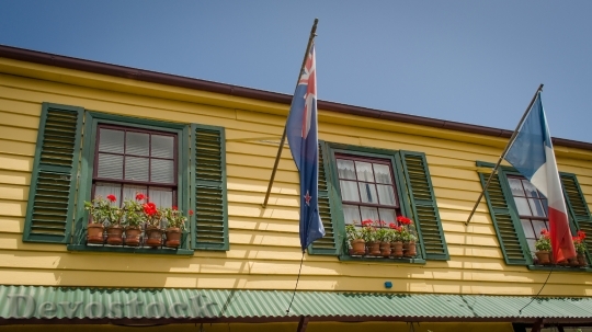 Devostock New Zealand Flags Potting