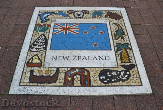 Devostock New Zealand Team Emblem
