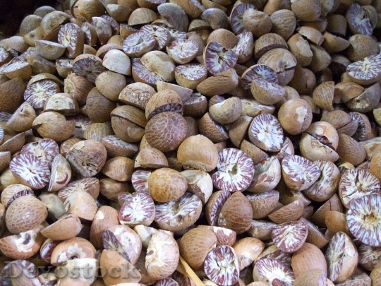 Devostock Nutmeg Myristica Spice Fruit