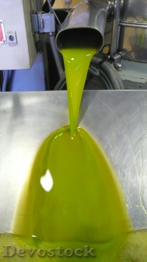 Devostock Oil First Pressure Olive