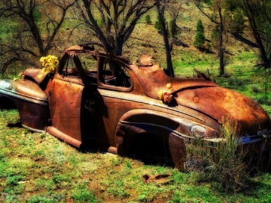 Devostock Old Rusty Car Oldsmobile