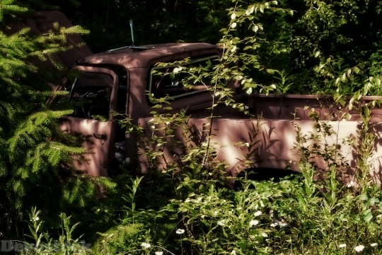 Devostock Old Truck Rusty Forest