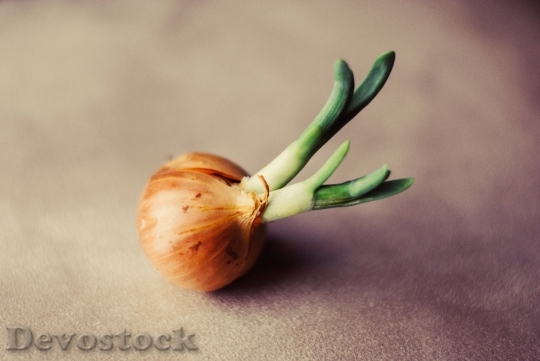 Devostock Onion Vegetable Fresh Vegetables