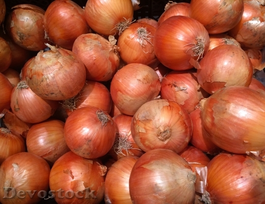Devostock Onions Orange Leather Pile