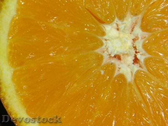 Devostock Orange Color Background Fruit