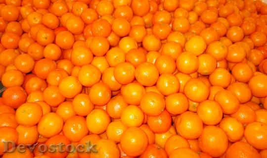 Devostock Orange Fruit 1111981