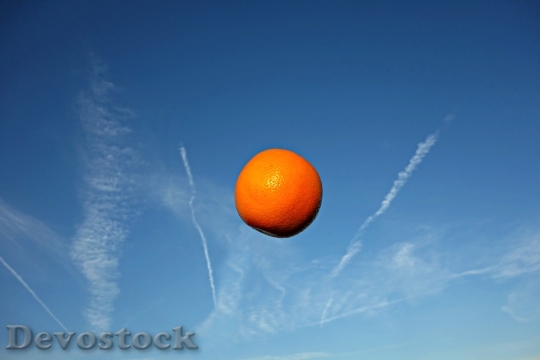 Devostock Orange Fruit Food Nutrition